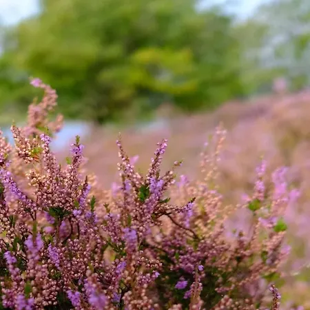 6 Person In Silkeborg-by Traum Casa vacanze Silkeborg