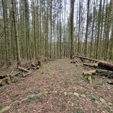 6 Person In Silkeborg-by Traum